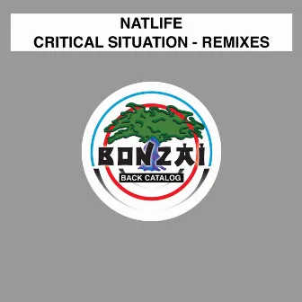 Critical Situation - Remixes by Natlife