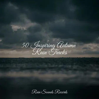 50 Inspiring Autumn Rain Tracks by Rain For Deep Sleep