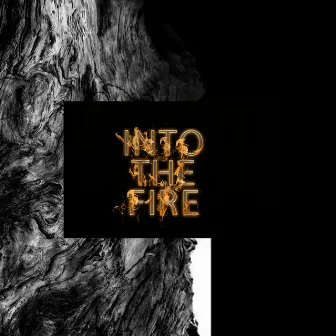 Into The Fire by Matthew Simon Clark