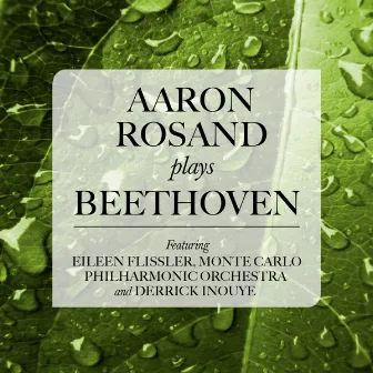 Aaron Rosand plays Beethoven by Eileen Flissler