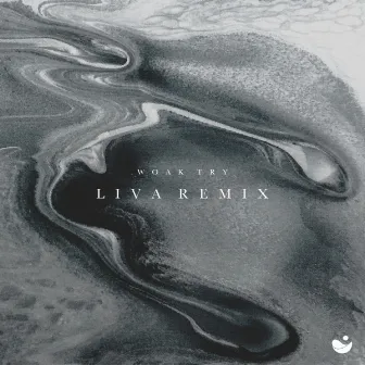 Try (LIVA Remix) by LIVA (BR)