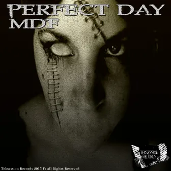 Perfect Day by MDF