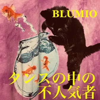 Tansu No Nakano Funinkimono by Blumio