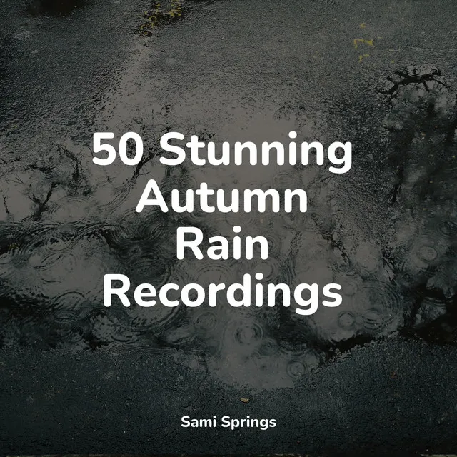 50 Stunning Autumn Rain Recordings