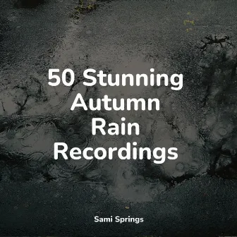 50 Stunning Autumn Rain Recordings by Deep Horizon Waves