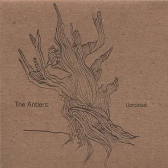 Uprooted by The Antlers