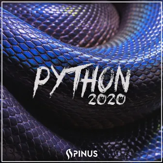 Python 2020 by Spinus