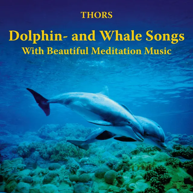 Dolphin- and Whale Songs with Beautiful Meditation Music