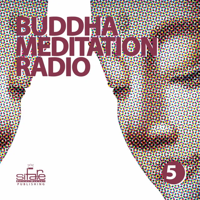 Buddha Meditation Radio, Vol. 5 (Relaxation and Wellness Music)