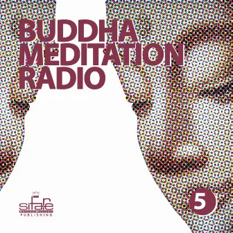 Buddha Meditation Radio, Vol. 5 (Relaxation and Wellness Music) by Andy Bruno