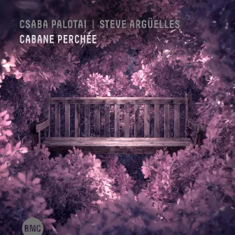 Cabane Perchée by Steve Argüelles