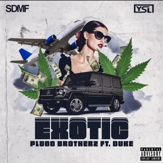 Exotic by Plugg Brotherz