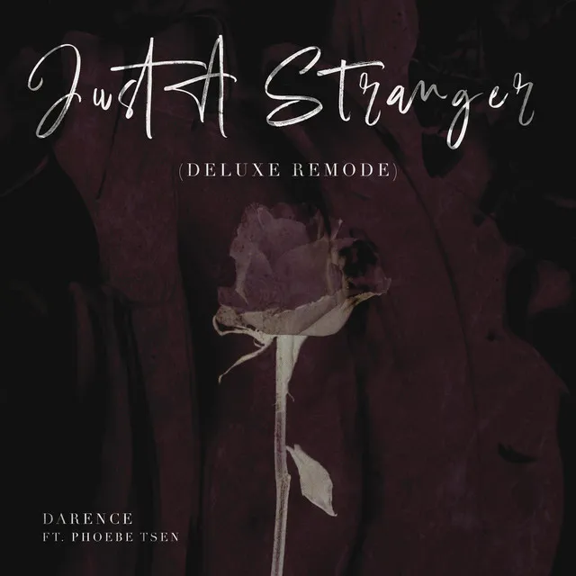 Just a Stranger (Deluxe Remode) [feat. Phoebe Tsen]