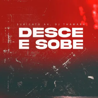 Desce e Sobe by DJ Thamara