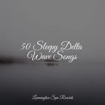 50 Sleepy Delta Wave Songs by Música para Relaxar Maestro