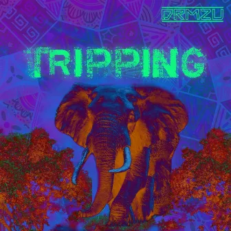 Tripping by Unknown Artist