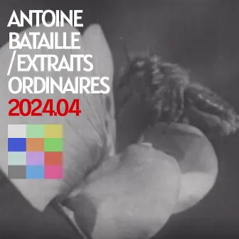 Extraits Ordinaires 2024.04 by Antoine Bataille