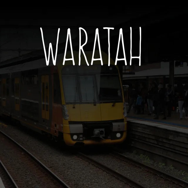 Waratah (That Type Of Train)