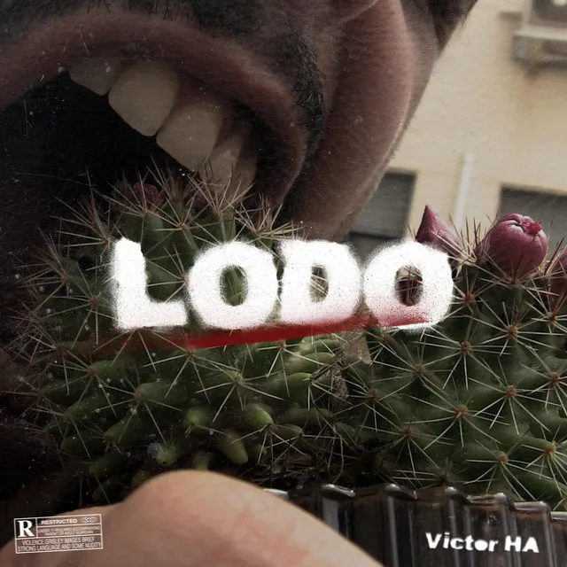 LODO