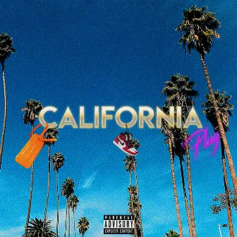 California Plug by Marvini