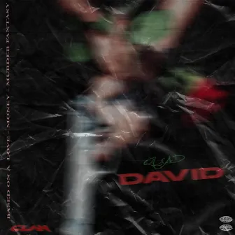 David by QuaD