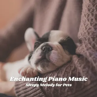 Enchanting Piano Music: Sleepy Melody for Pets by Saturday Morning Jazz