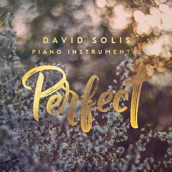 Perfect (Piano Instrumental) by David Solís