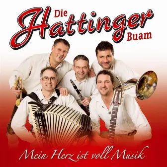 Mein Herz ist voll Musik by Die Hattinger Buam