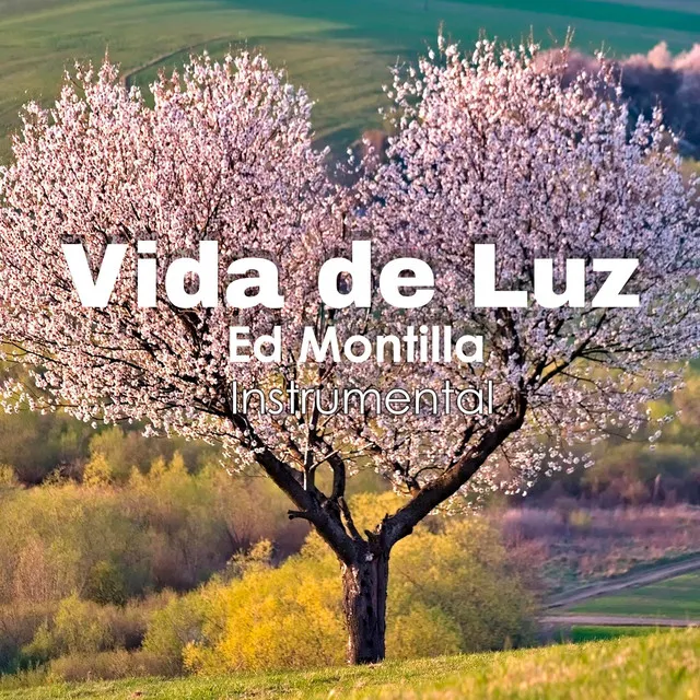 Vida De Luz