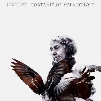 A Portrait of Melancholy by Josh Lee