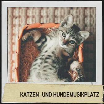 Katzen- und Hundemusikplatz: Sleepytime-Songs für schlummernde Freunde by Hundemusikk