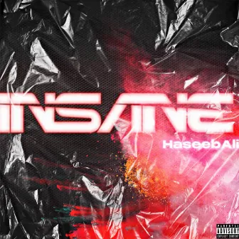 Insane by Haseeb Ali VEVO