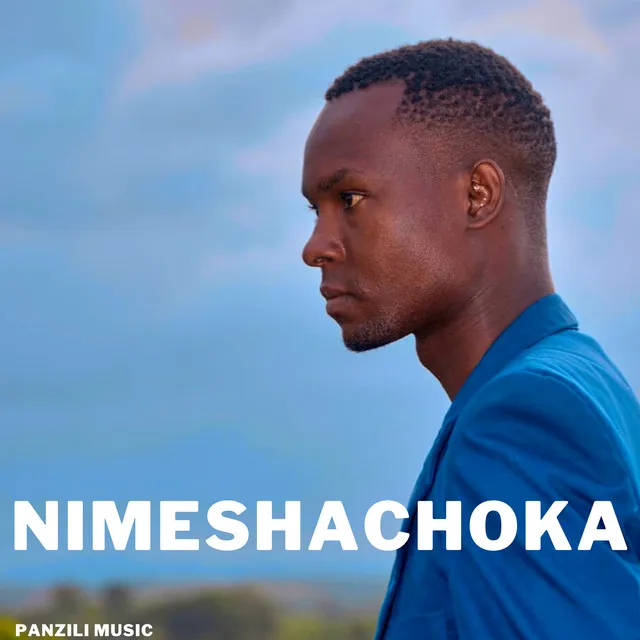 Nimeshachoka