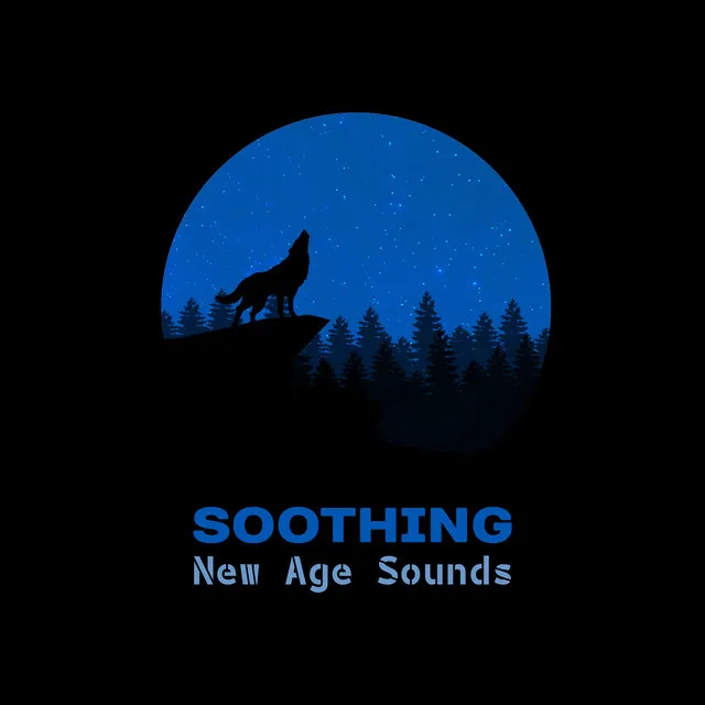 Soothing New Age Sounds – Calm Down and Sleep, Chilled Melodies for Night, Soft New Age, Relaxing Moments