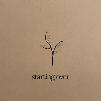 Starting Over by Christine Noel