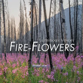 Fire-Flowers by Luminous Voices