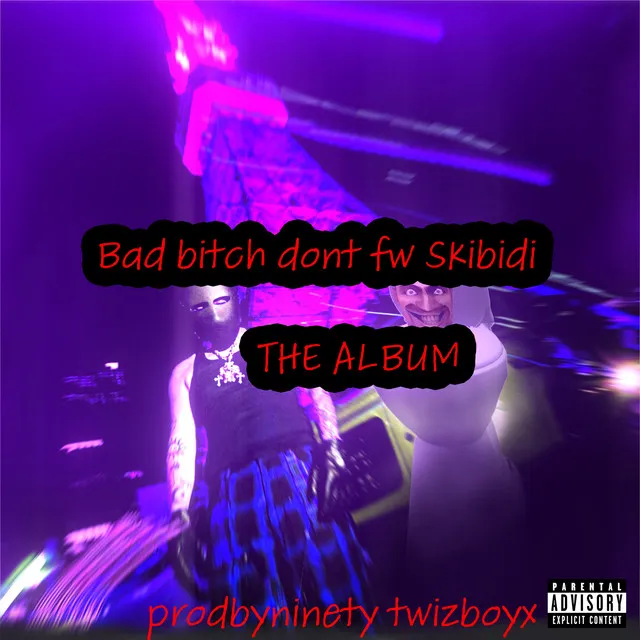 bad bitch dont fw skbidi 3