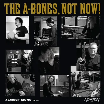 Not Now! by The A-Bones