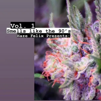 Haze Felix Presents: Smells Like the 90's, Vol. 1 by Haze Felix