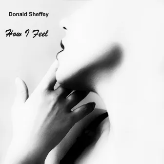 How I Feel by Donald Sheffey