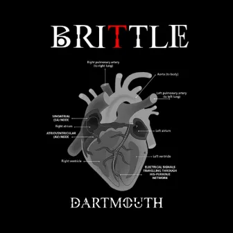 Brittle by Dartmouth