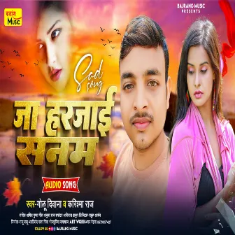 Ja Harjai Sanam by 