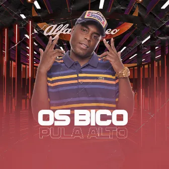 Os Bico Pula Alto by Mc Kelvinho