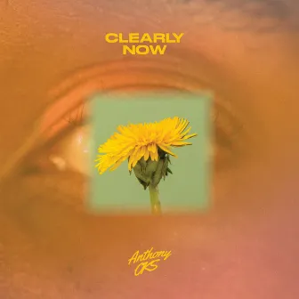 Clearly Now by Anthony OKS