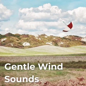 Gentle Wind Sounds by Unknown Artist