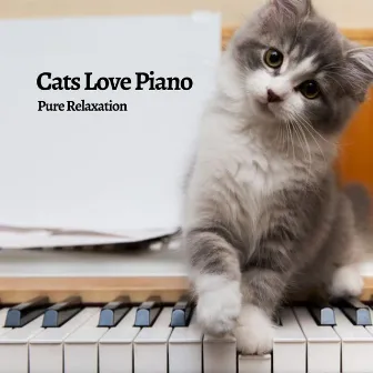 Cats Love Piano: Pure Relaxation by Piano for cats