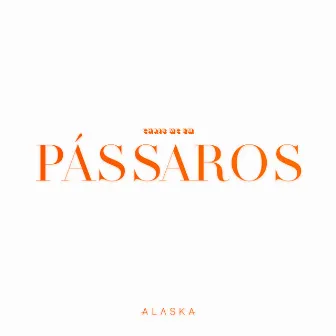 Pássaros by Alaska