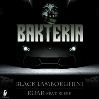 Black Lamborghini / Roar by Sleek