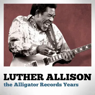 The Alligator Records Years by Luther Allison