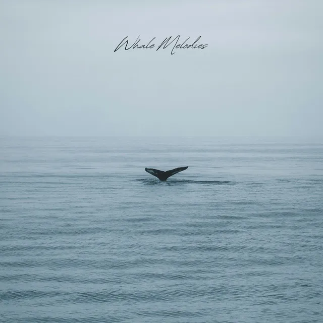 Whale Melodies